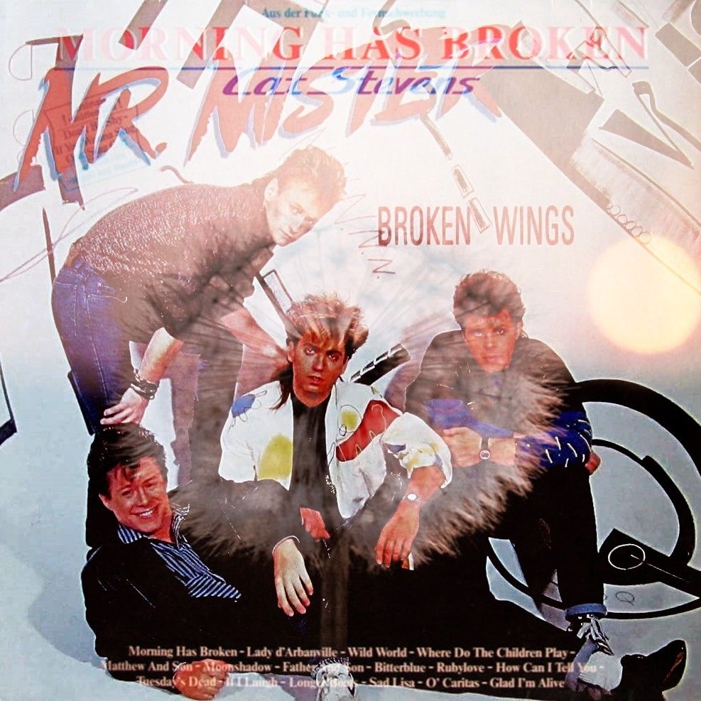 Morning Has Broken Wings.jpg