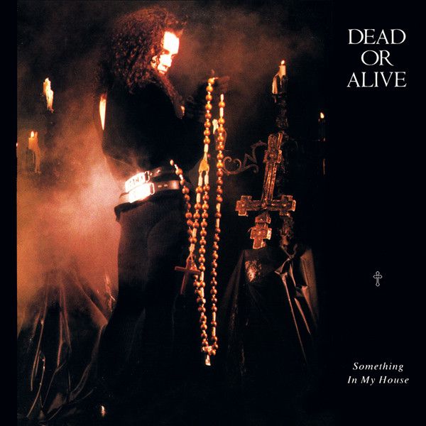 Dead Or Alive - Something in My House.jpg