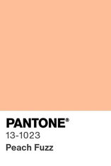 12072023 Pantone Color of 2024 is Peach Fuzz.png