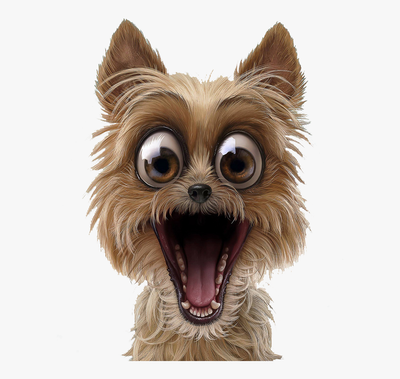 159-1596893_pet-surprise-puppy-dog-hq-image-free-png-2180312812.png