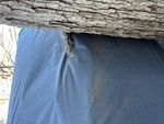 IMG_2392.jpeg