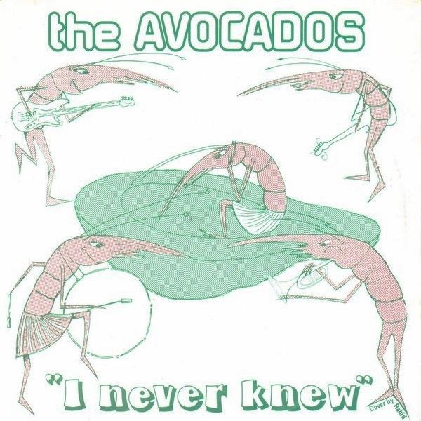 The Avocados - I Never Knew.jpg