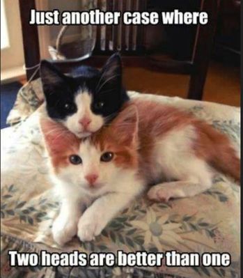 2 heads are better than one! LOL!
