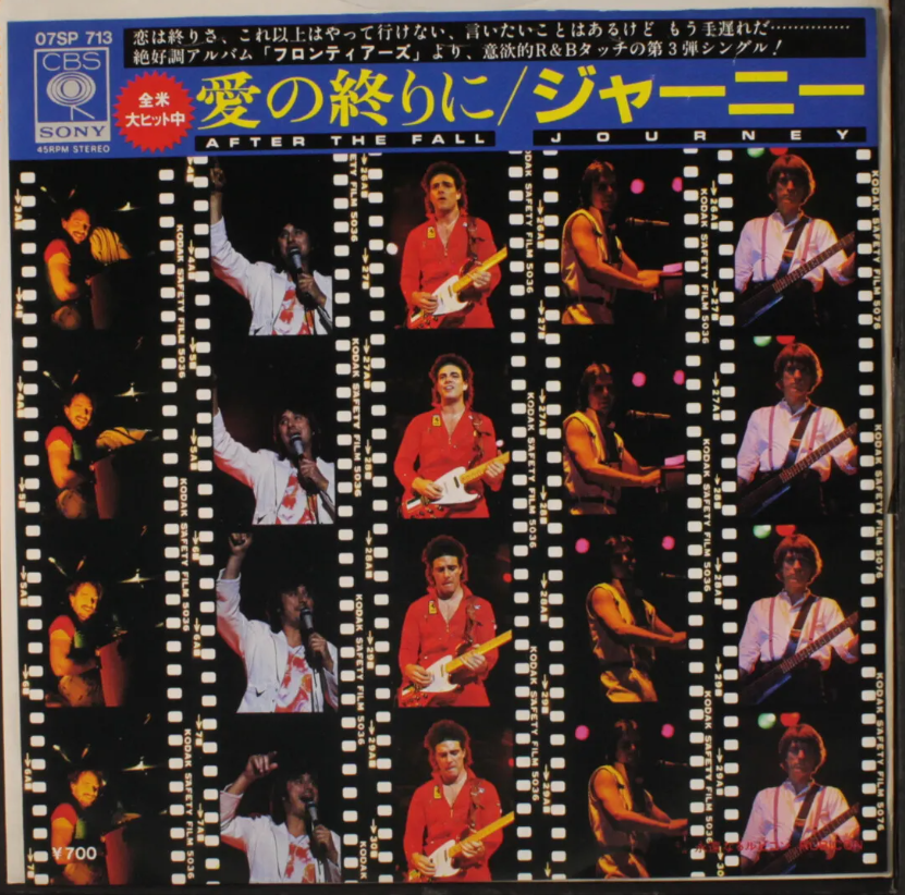 Journey After The Fall.png