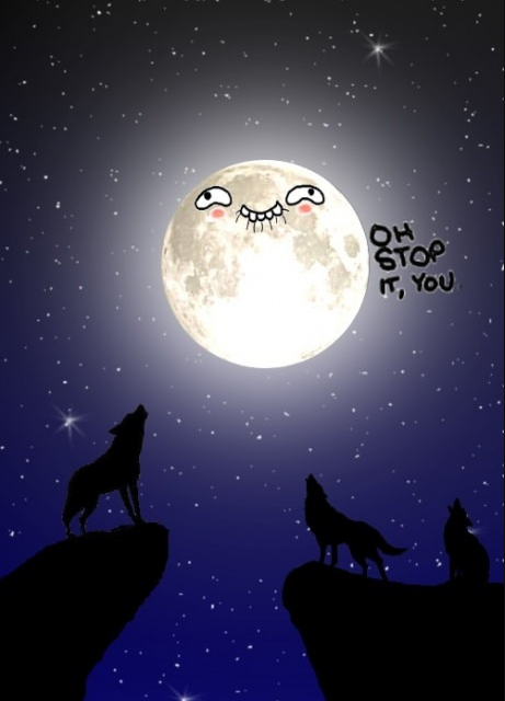 moon says stop it lol.png