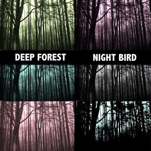 Deep Forest - Night Bird.jpg