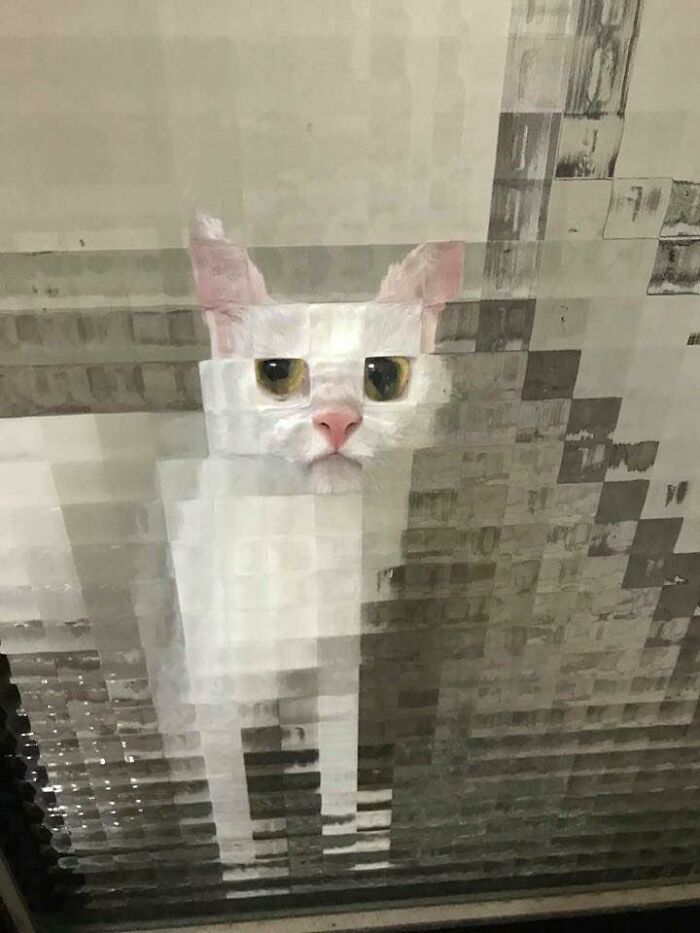 Pixel Time-Out Kitty.jpeg