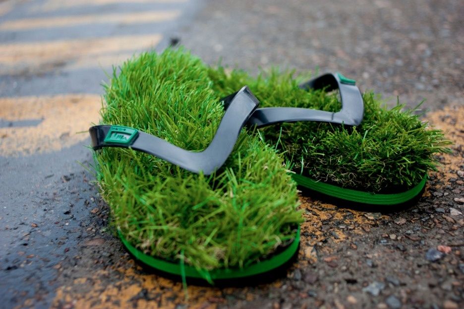 Green Dr Scholls.jpg