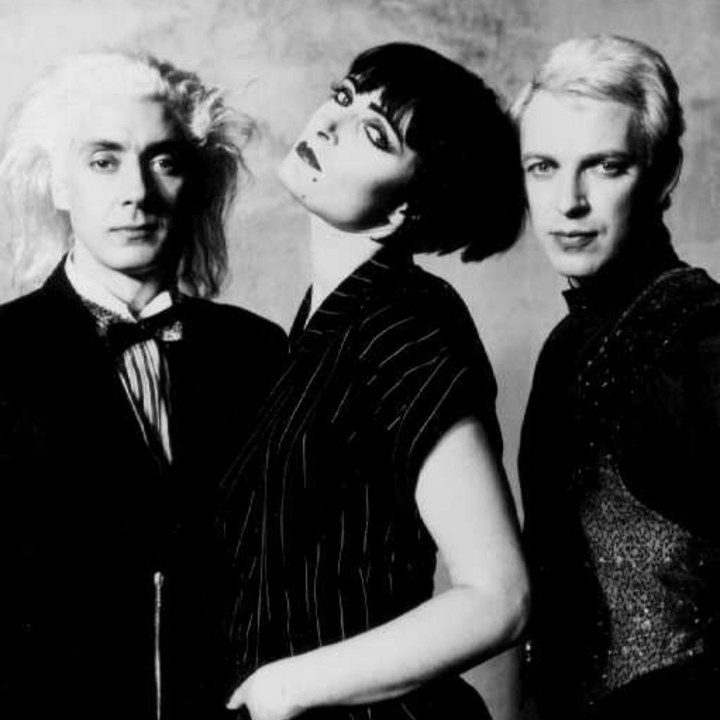 Siouxsie And The Banshees.png