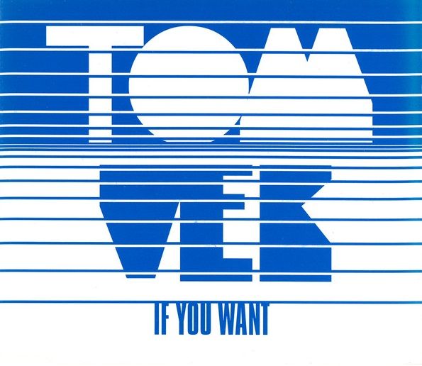 Tom Vek - If You Want.jpg