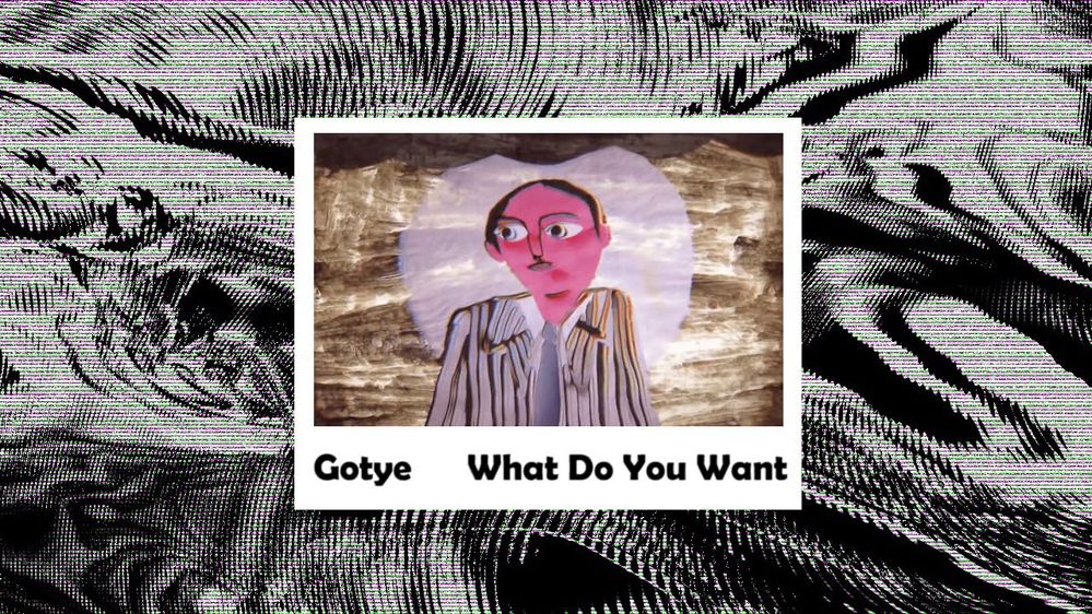 Gotye - What Do You Want.jpg