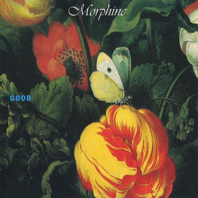 Morphine - The Saddest Song.jpg