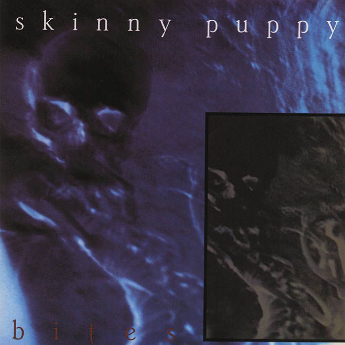 Skinny Puppy - Assimilate.jpg