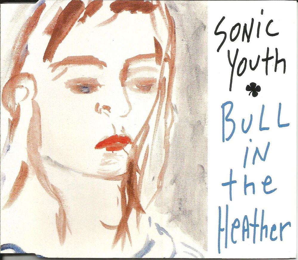 Sonic Youth - Bull In The Heather.jpg