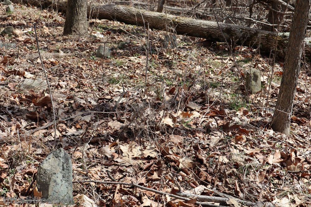 Several of the fieldstones at the Calvin Morris cemetery in SNP
