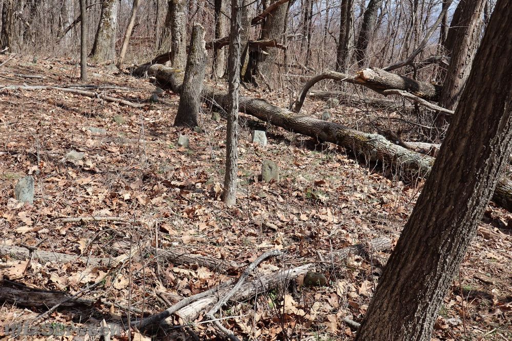 This shows a plethora of fieldstones, but note the deadfall and fallen trees.  Not an ideal place on a gusty day!