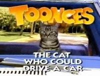Toonces the Driving Cat.jpg