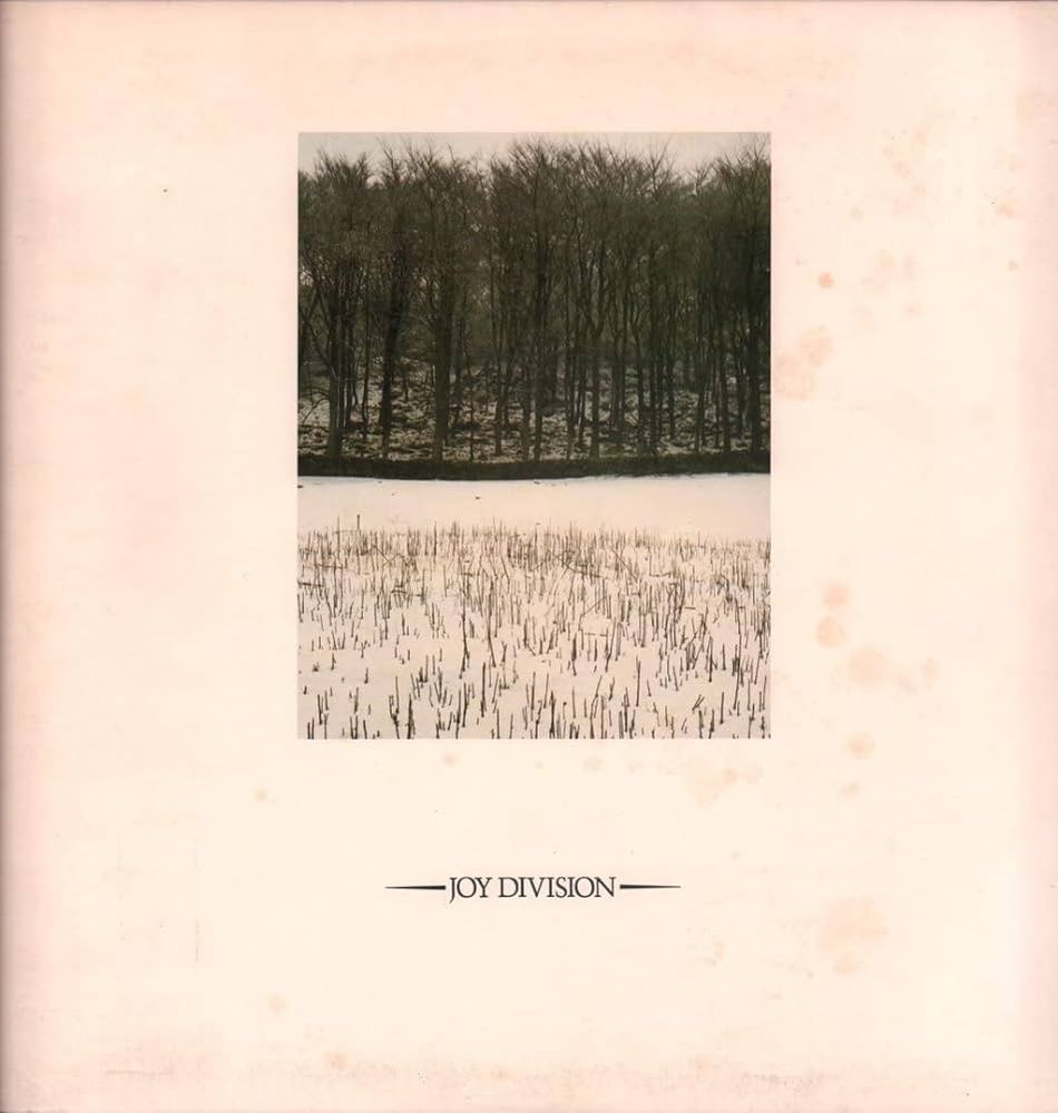 Joy Division - She's Lost Control.jpg