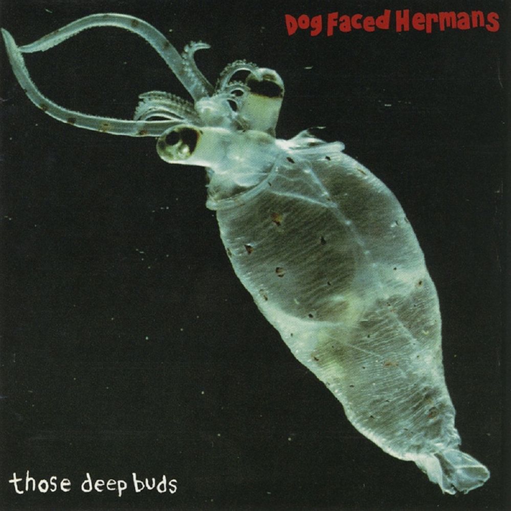 Dog Faced Hermans - Keep Your Laws Off My Body.jpg