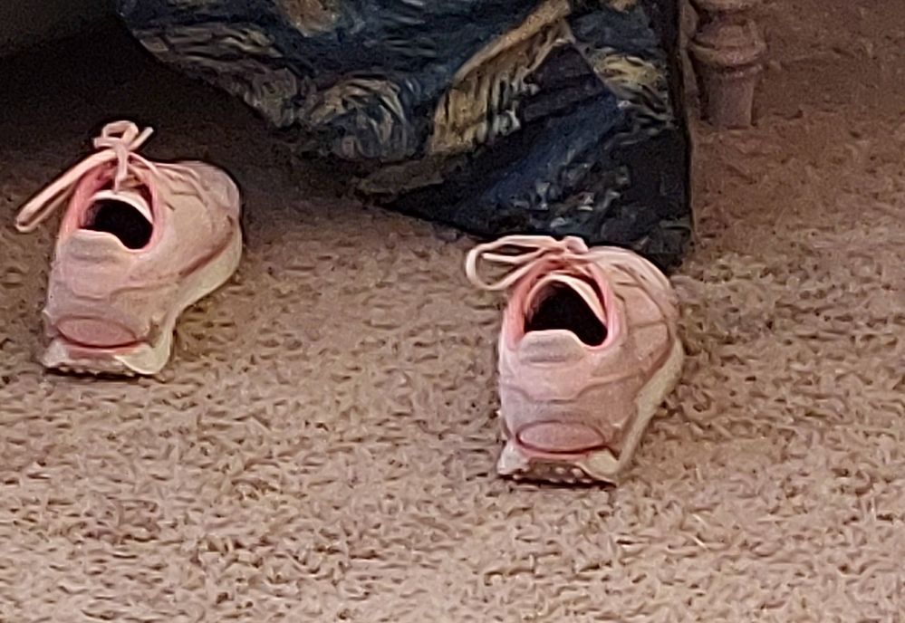 Caption These Sneakers.jpg