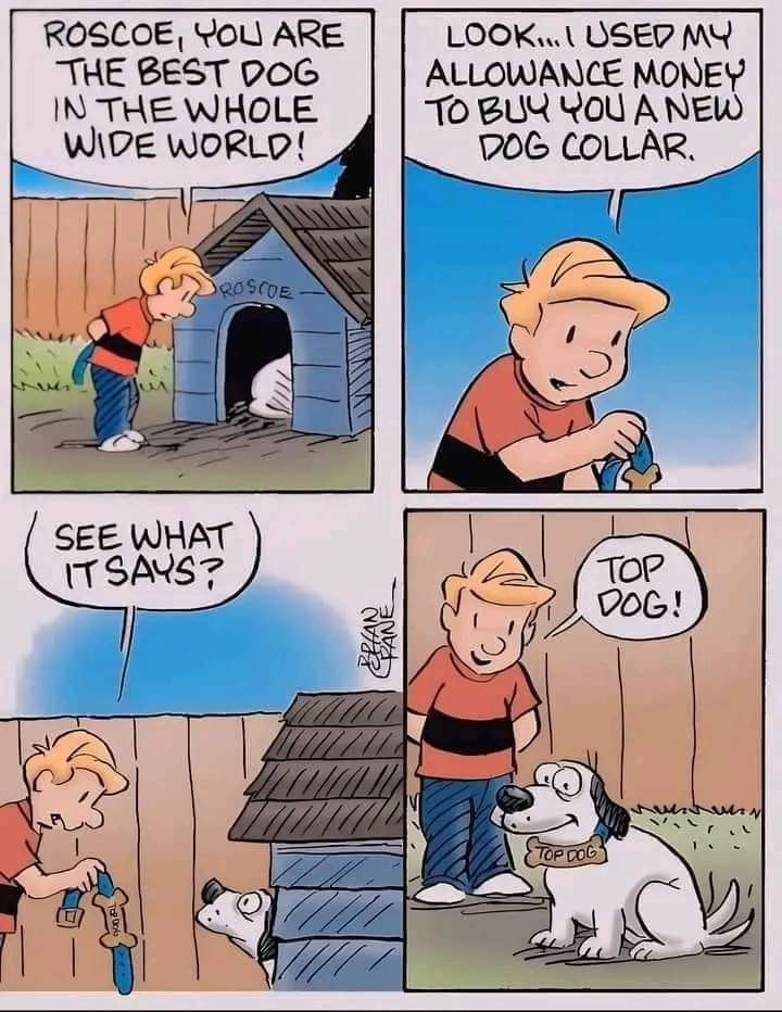 1000010877.jpg