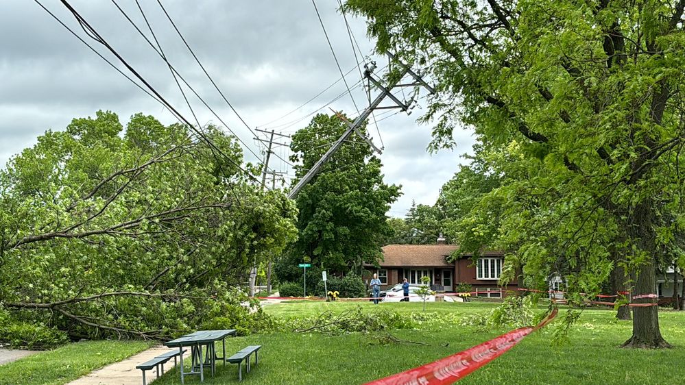 1000011209.jpg