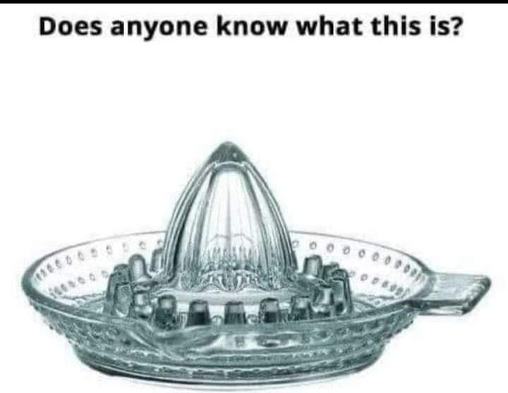 1000011240.jpg