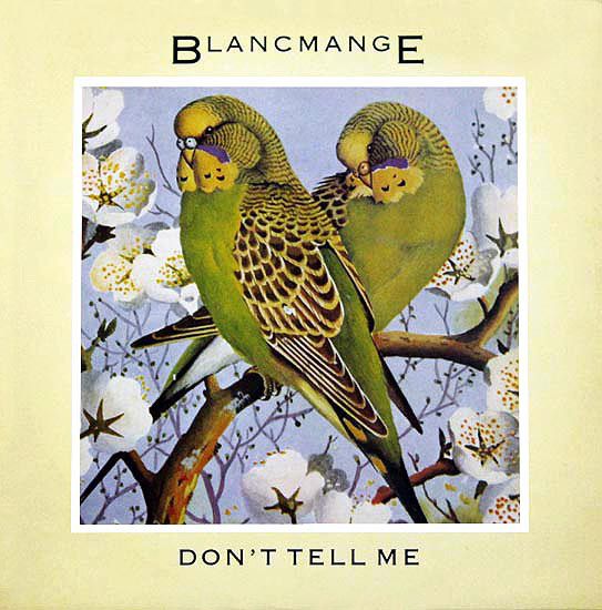 Blancmange – Don’t Tell Me.jpg