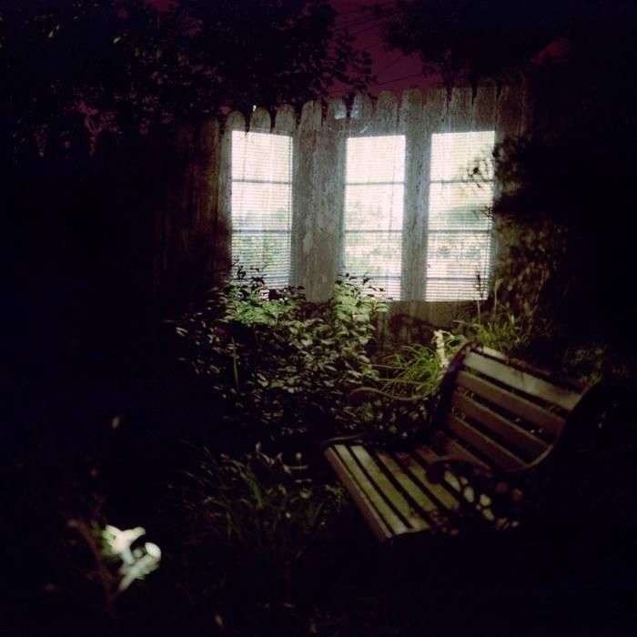 Art Sorority (aka Art Sorority For Girls) - Tree of Sympathy.jpg