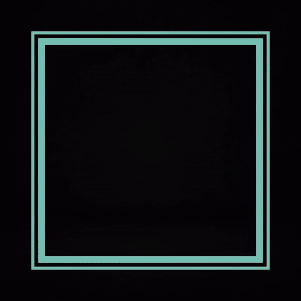 National Black Cat Day October 27 2024.gif