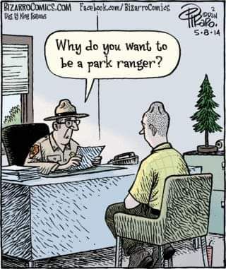 1000012777.jpg