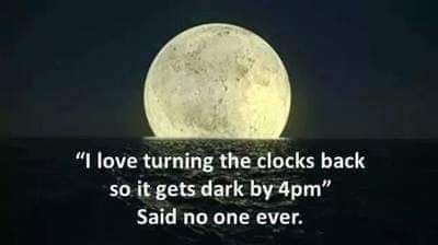 1000013064.jpg