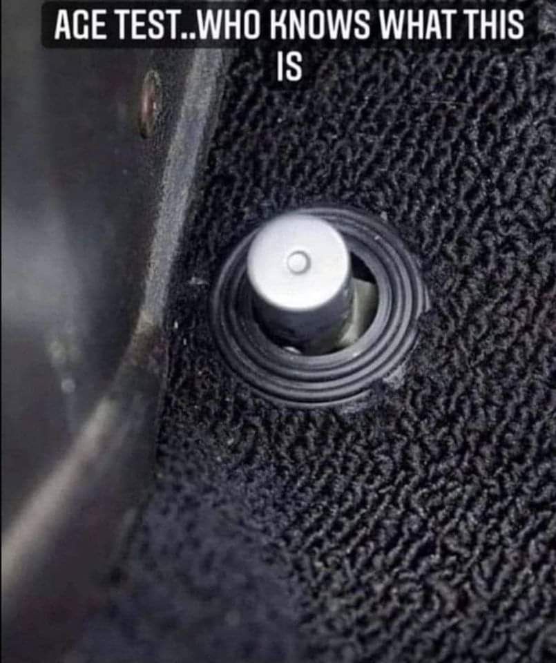 1000012797.jpg