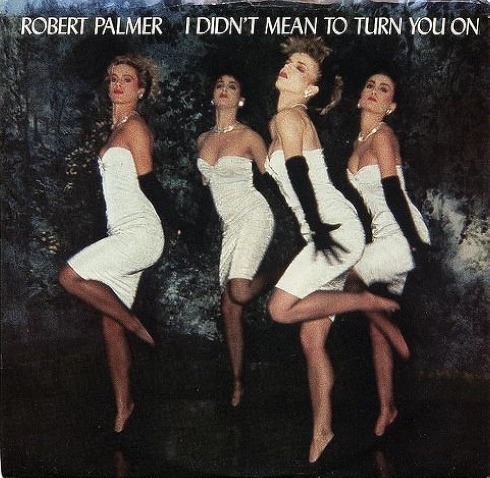 Robert Palmer - I Didn't Mean To Turn You On.jpg