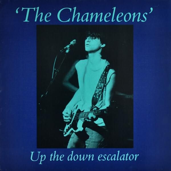 The Chameleons - Up the Down Escalator.jpg