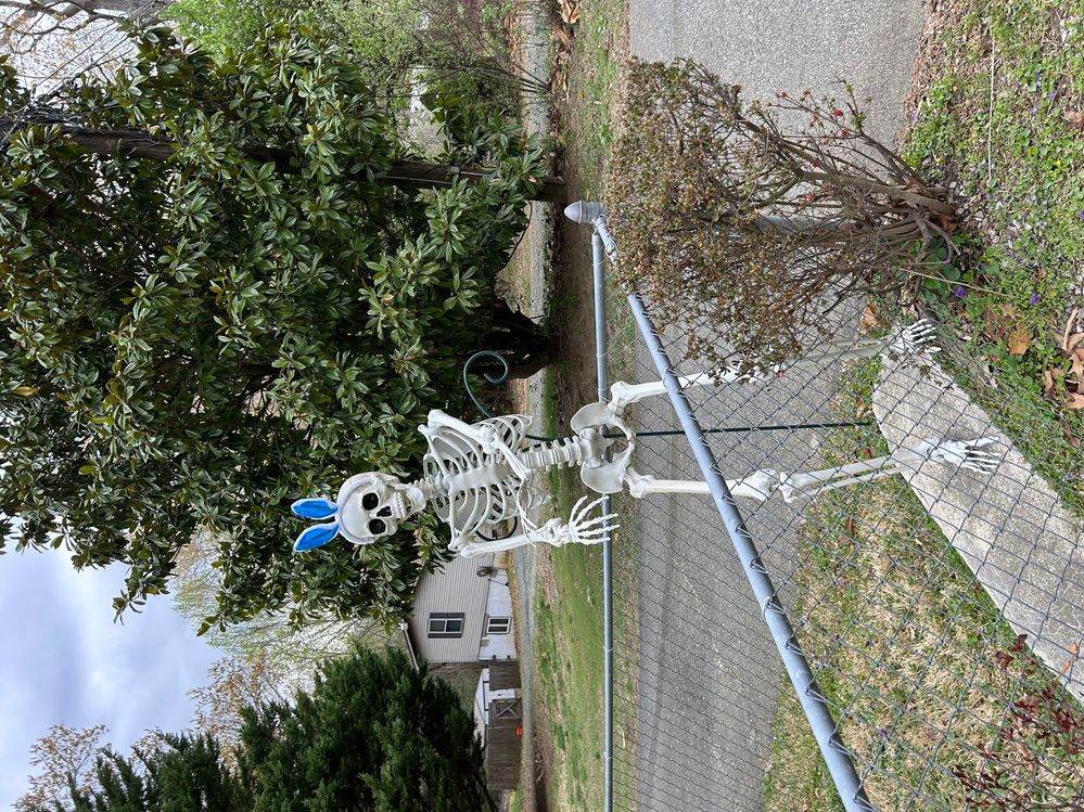 ------Mr. Bones is in the Easter spirit.