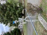 ------Mr. Bones is in the Easter spirit.