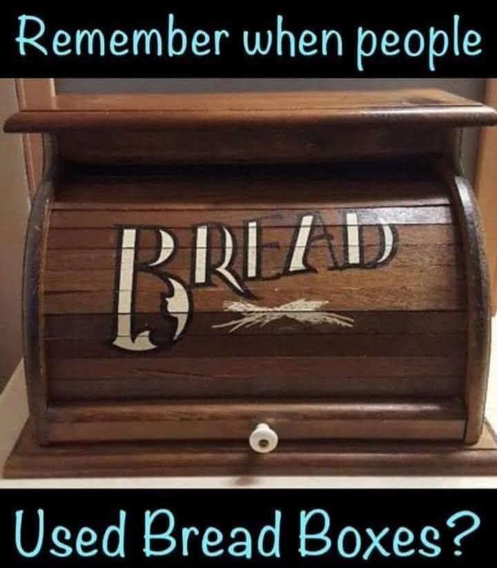 1000015254.jpg