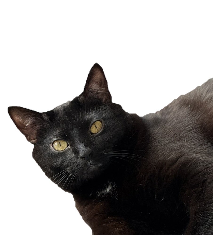 Sheena Beana's 2nd Birthday 04232025.png