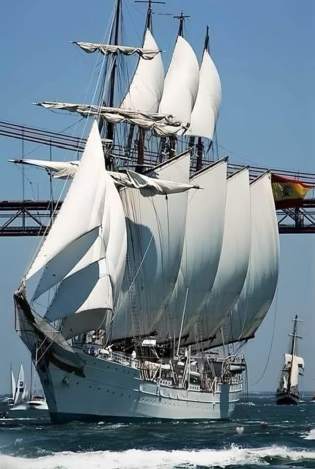 1000018754.jpg