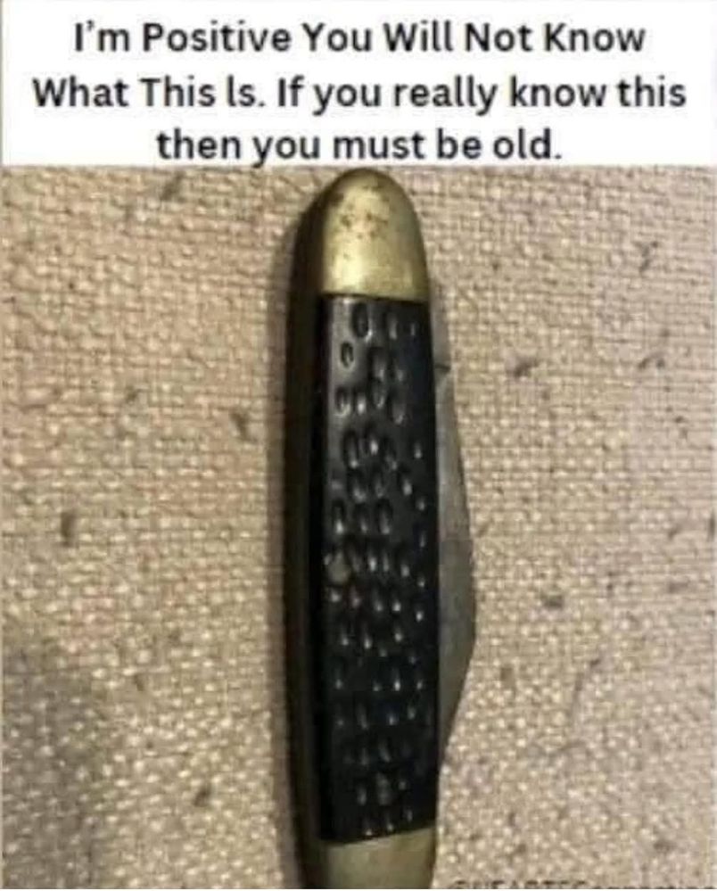1000018476.jpg