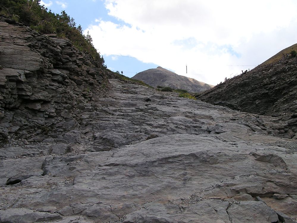 P7260862.JPG