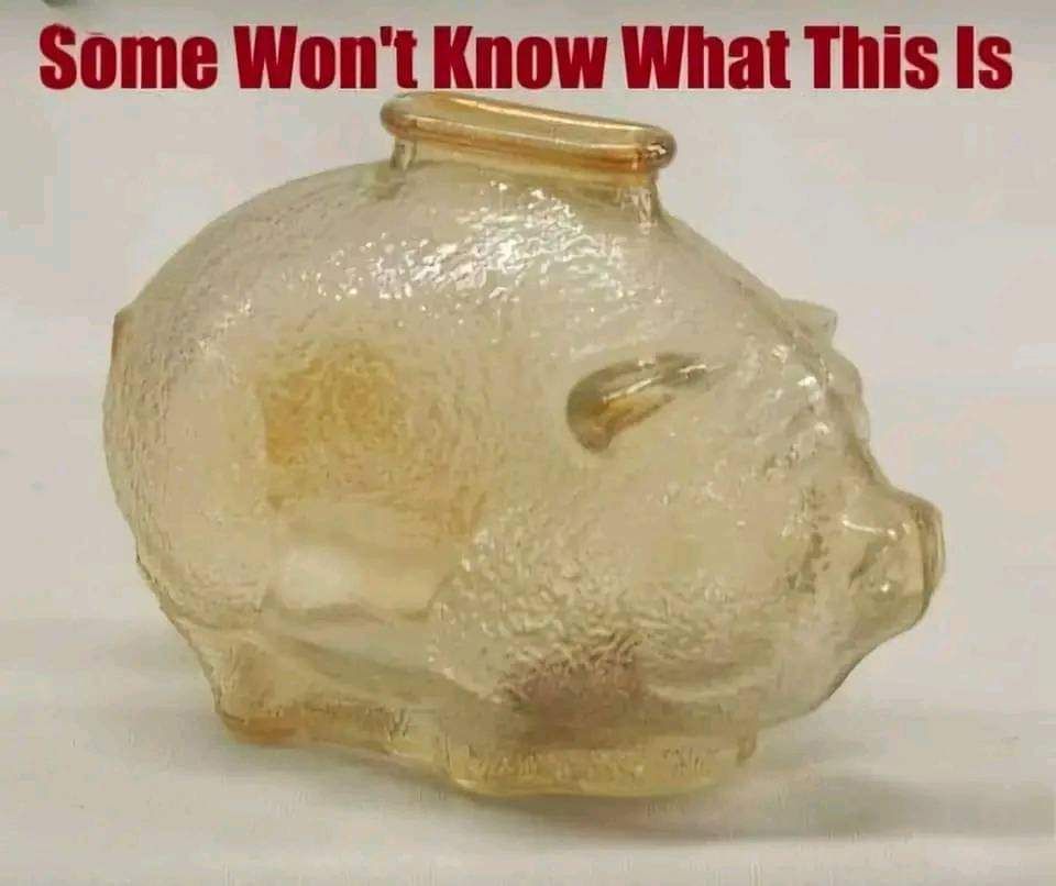 1000019117.jpg