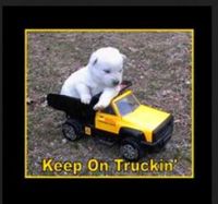 keep on truckin.JPG