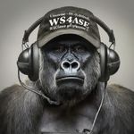 Profile (WilliamE881243)