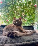 Profile (MichelleS754928)