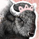 buffalo-gal-wcrown.jpg