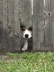 IMG_0719.jpeg