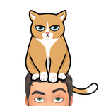 Cat on head.png