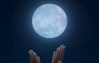 IMG_1482.gif